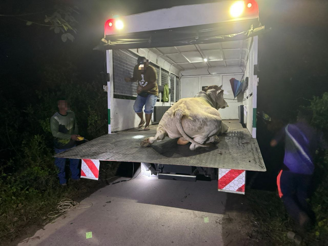 𝐎𝐏𝐄𝐑𝐀𝐒𝐈 𝐓𝐀𝐍𝐆𝐊𝐀𝐏𝐀𝐍 𝐇𝐀𝐈𝐖𝐀𝐍 𝐑𝐀𝐘𝐀𝐔 𝐃𝐈𝐒𝐄𝐌𝐁𝐄𝐑 𝟐𝟎𝟐𝟓