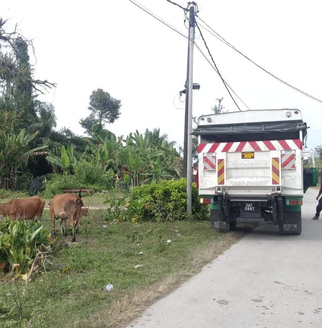 𝐎𝐩𝐞𝐫𝐚𝐬𝐢 𝐓𝐚𝐧𝐠𝐤𝐚𝐩𝐚𝐧 𝐇𝐚𝐢𝐰𝐚𝐧 𝐌𝐞𝐫𝐚𝐲𝐚𝐮