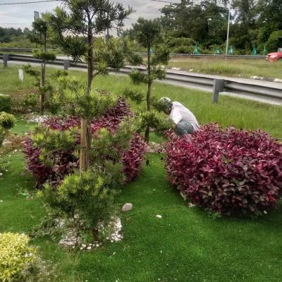 Kerja-kerja memotong rumput dan menyelenggara landskap di sekitar Bandar Tok Janggut, Pasir Puteh