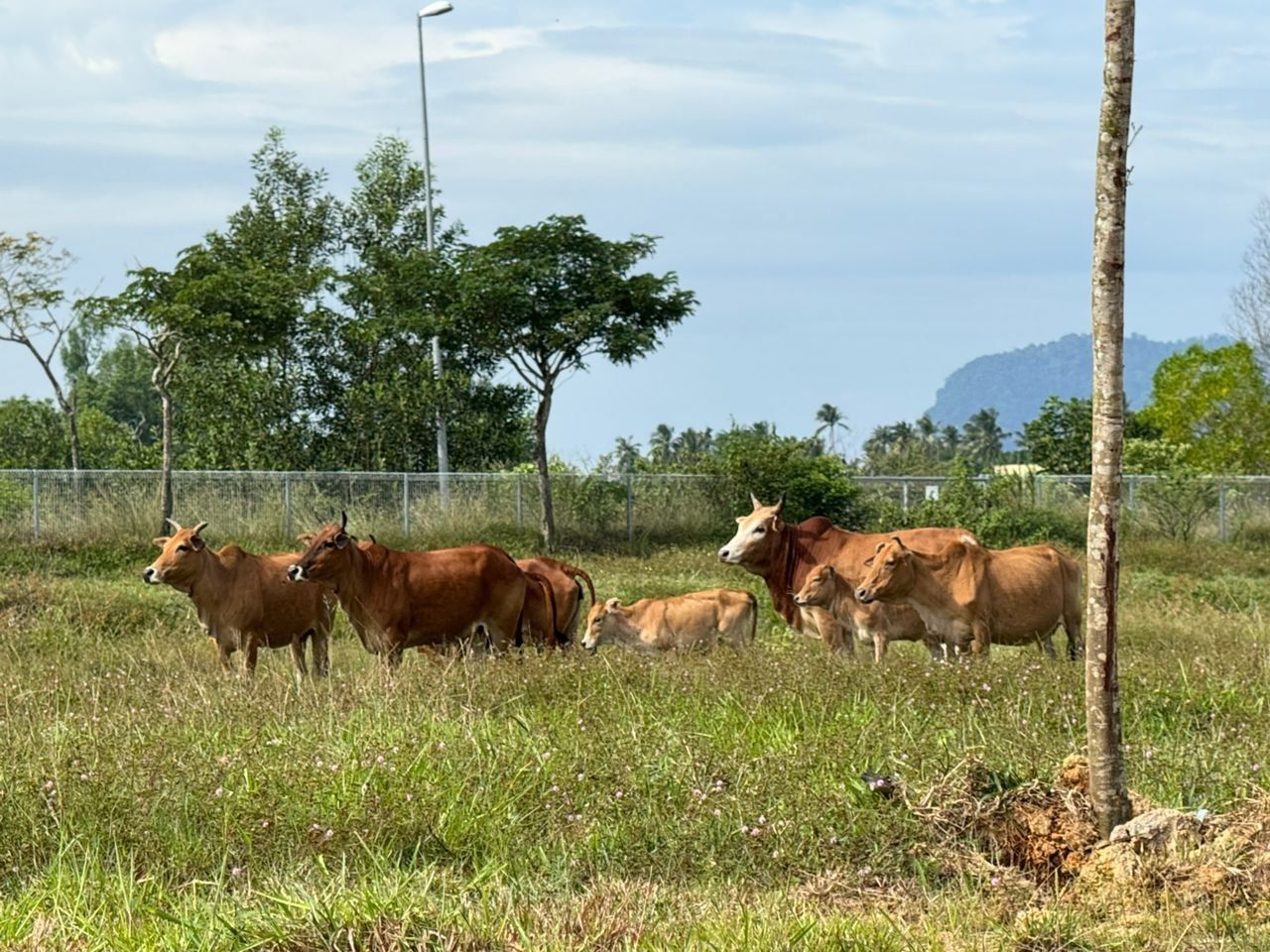 571656871 1240789951412716 7180695040192700455 N 019d243a