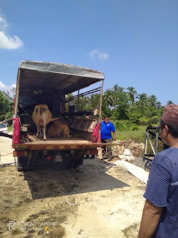 594307597 1270133191811725 4453897614638680559 N 0542ec61