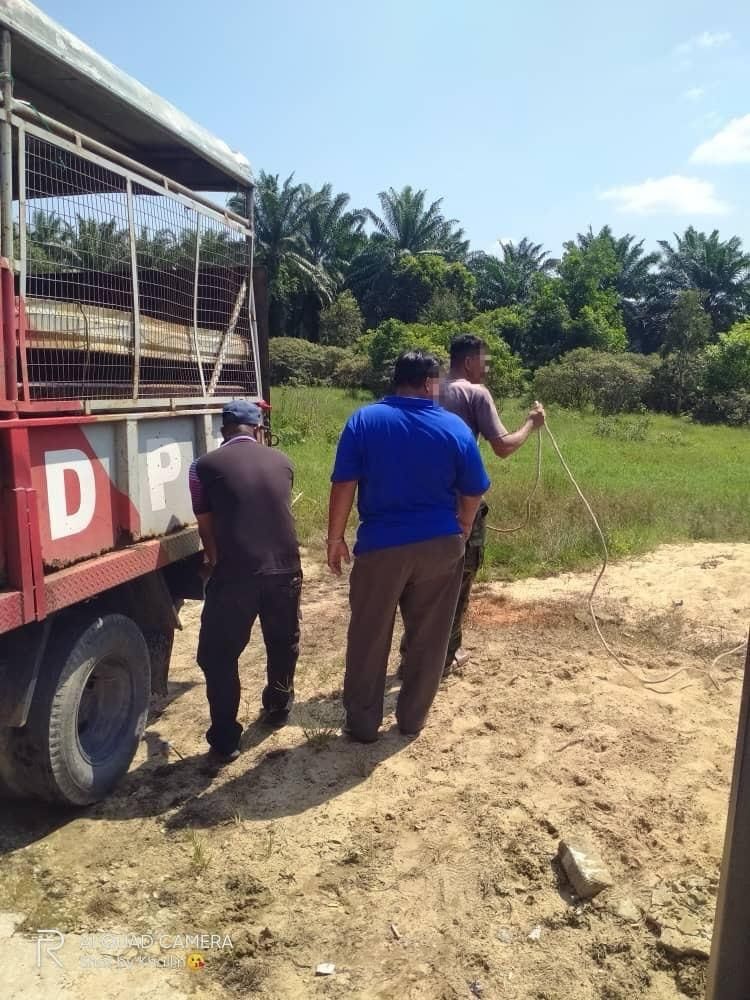 594068110 1270133295145048 1146452986376865408 N 073fff67