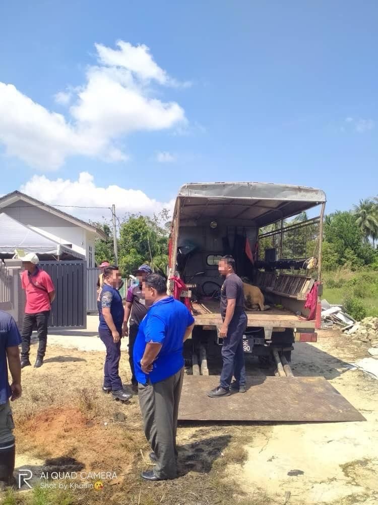 593481030 1270133221811722 8633031413813125638 N 1ef6f4cb