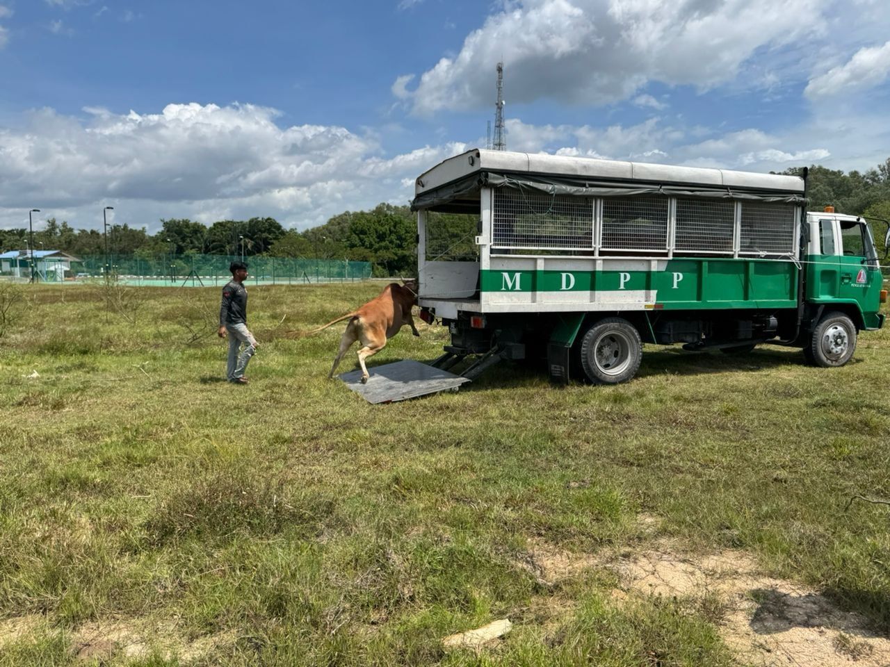 574562071 1240789994746045 7977761344568464429 N E1f17fed